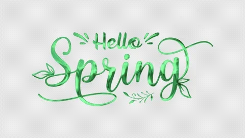 Hello Spring Lettering Text Animation with leaf. Handwriting animation Stock Footage 313817460