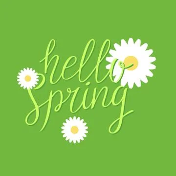 Hello Spring, modern hand drawn lettering. Stock Illustration