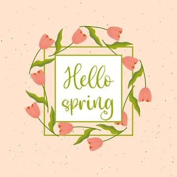 Hello spring, pink background, frame with tulips, and dots on background. v.. Stock Illustration
