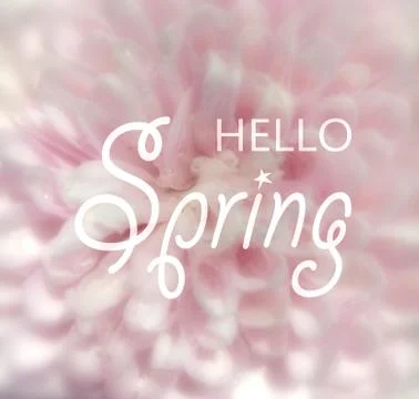 Hello spring pink background. Stock Photos