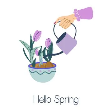 Hello Spring plant card Illustrazione stock