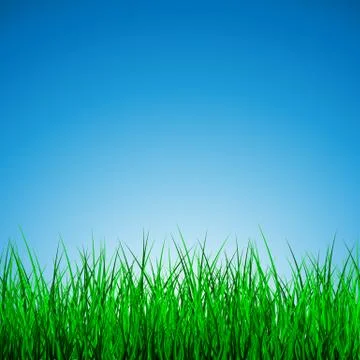 Hello Spring Poster With green grass and blue sky, Vector Illustration. Stock Illustration