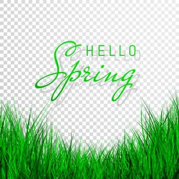 Hello Spring Poster With green grass, Vector Illustration. Stock Illustration