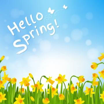 Hello Spring Poster With Narcissus Stock Illustration