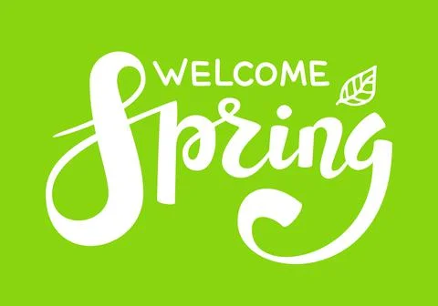 Hello Spring quote hand drawn calligraphy Stock Illustration