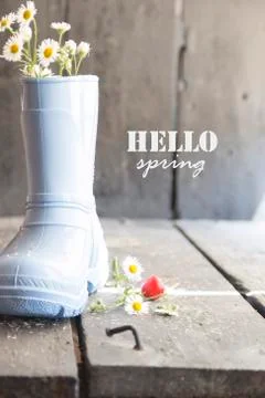 Hello spring rustic concept, daisy and boots on a vintage table Stock Photos