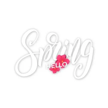 Hello Spring. Script lettering Spring and fresh flowers. Card for seasonal promo Stock Illustration