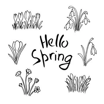 Hello Spring sketch set. First flowers and Lettering Stock Illustration