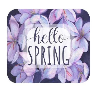 Hello Spring. Spring flowers snowdrops. Purple crocuses Stock Illustration