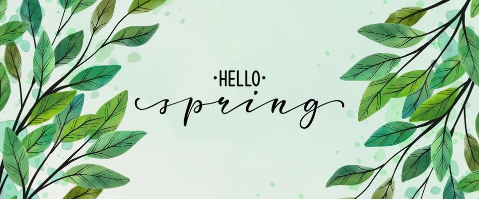 Hello spring text. Abstract art green leaves background. hand draw outline .. Stock Illustration