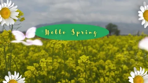 Hello Spring Text Badge on Yellow Flower Field with Daisy Overlays Stock Footage 331583959