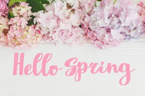Hello Spring text on beautiful hydrangea flowers border on rustic white woo.. Foto stock