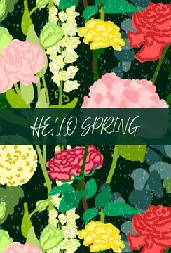 Hello Spring text on dark floral background Stock Illustration