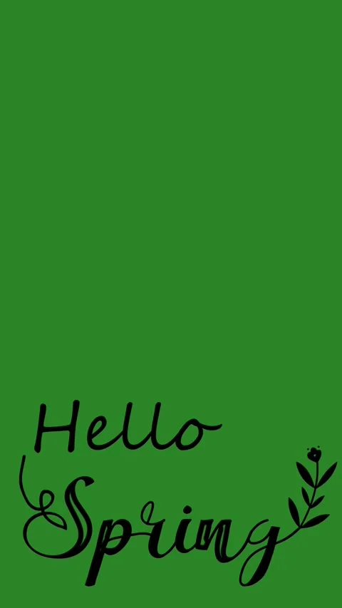 Hello Spring Text on Green Screen Background with Leaf Decoration 库存影片 330277921