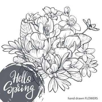 Hello Spring text. Hand lettering with hand drawn flower bouquet Stock Illustration