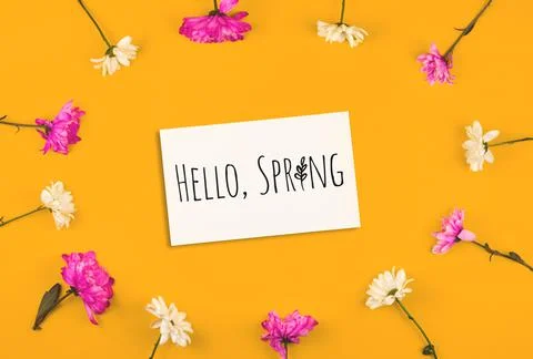 Hello Spring text inscription, creative mockup with frame made of flowers on  Stock Photos