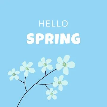 Hello spring text vector banner greetings design with flowers branch in blu.. Stock Illustration