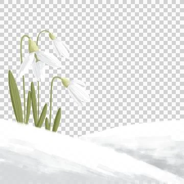 Hello Spring on transparent Stock Illustration