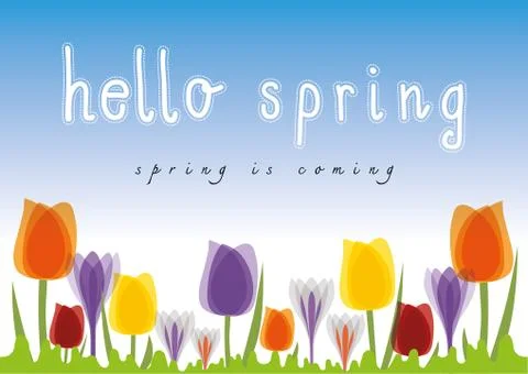 Hello Spring Tulip blue sky background Ilustração Stock