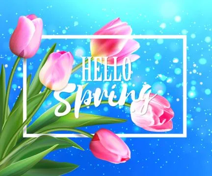Hello spring tulips flowers background with lettering. Template for greeting Stock Illustration