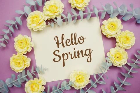 Hello Spring typography text and flower decorate on purple background Stock Photos