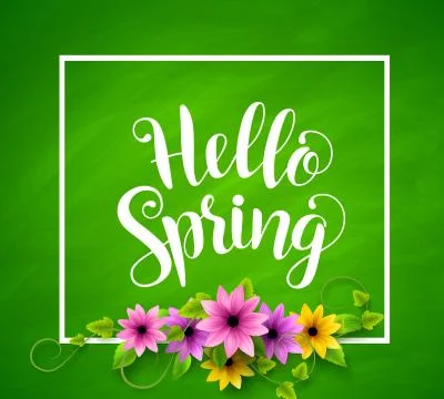 Hello spring vector banner design in green textured background Stock Illustration