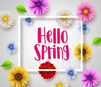Hello spring vector banner design with white boarder, greeting text Stock Illustration