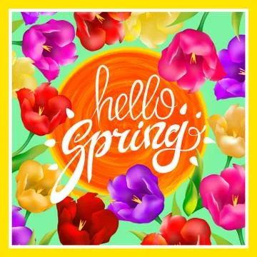 Hello Spring. Vector illustration with bright colorful tulips. A circle orang Stock Illustration