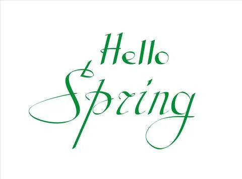 Hello Spring vector illustration on white background. Hand lettering for insp Stock Illustration