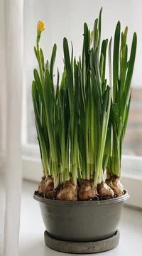 Hello spring. Waiting for spring. Home interior easter decoration. Yellow Stock Photos