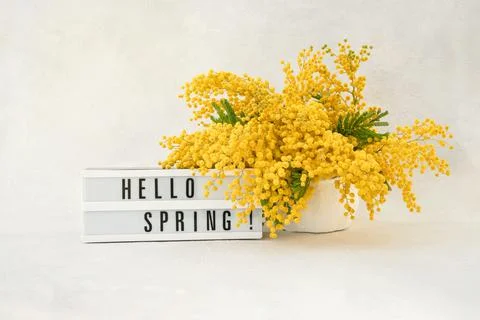 HELLO SPRING written in a light box and Mimosa flowers bouquet on a light Foto stock