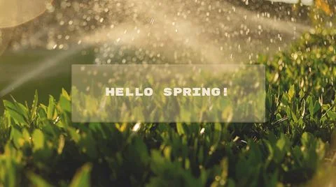 Hello spring written not against fresh green grass background Stock Photos