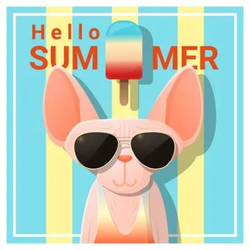 Hello summer background with cat wearing sunglasses Stock Illustration