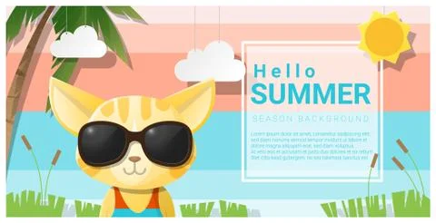 Hello summer background with cat wearing sunglasses Stock Illustration