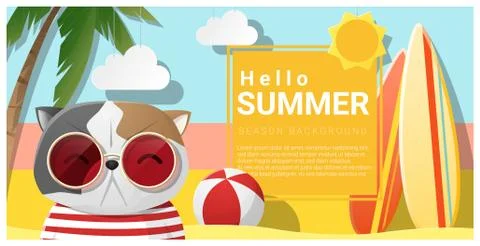 Hello summer background with cat wearing sunglasses Stock Illustration