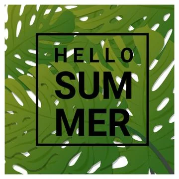 Hello summer background with tropical green leaves Stock Illustration