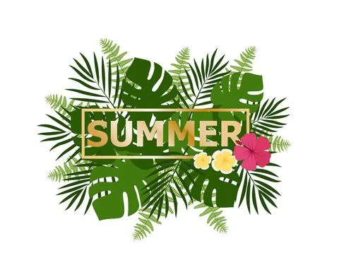 Hello summer background with tropical plants and flowers. For typographical,  Stock Illustration