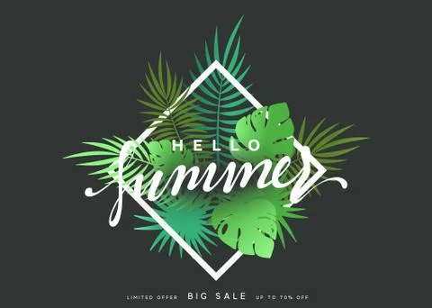 Hello Summer banner tropical background. Stock Illustration