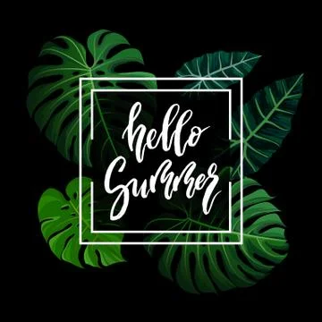 Hello Summer brush lettering. Stock Illustration