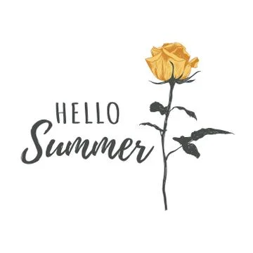 Hello summer calligraphy text vector illustration Stock Illustration