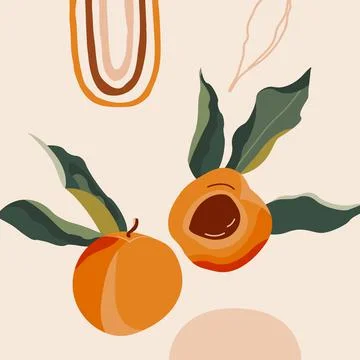 Hello summer card. Stock Illustration