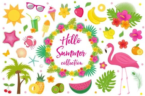 Hello summer collection of design elements,flat style. Tropical set with ex.. Stock Illustration