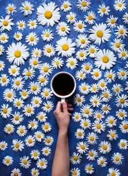 Hello summer. A cup of coffee in a woman's hand on a blue background with Stock Photos