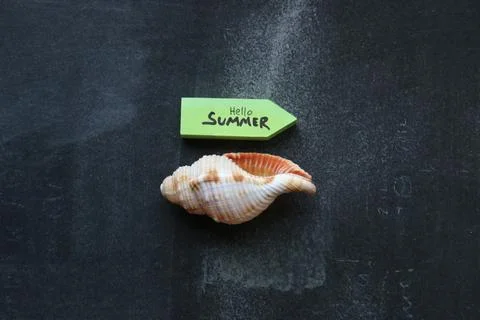 Hello summer greeting text. Its Summer time. Stock-Fotos