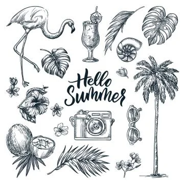 Hello summer hand drawn calligraphy lettering and tropical design elements se Illustrazione stock