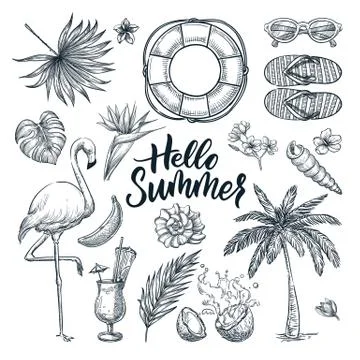 Hello summer hand drawn calligraphy lettering and tropical design elements se Stock Illustration