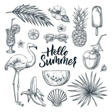 Hello summer hand drawn calligraphy lettering and tropical design elements se Illustrazione stock
