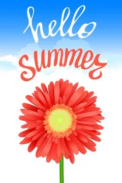 Hello Summer Lettering and Realistic Gerbera Flower. Summer background design Stock Illustration