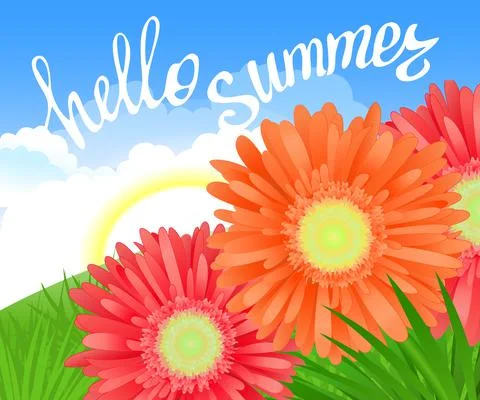 Hello Summer Lettering and Realistic Gerbera Flowers Summer background design Stock Illustration