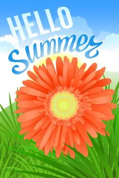 Hello Summer Lettering and Realistic Gerbera Flower. Summer background design Stock Illustration
